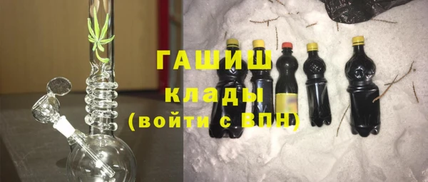 гашик Пестово