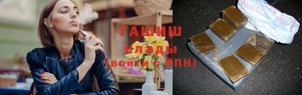 гашик Пестово
