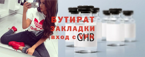 гашик Пестово