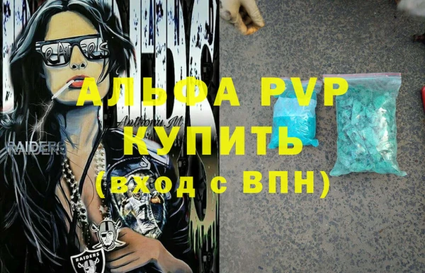 гашик Пестово