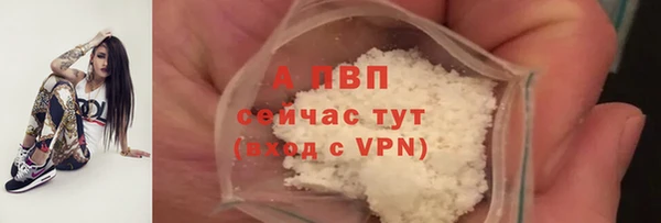 крисы Пересвет