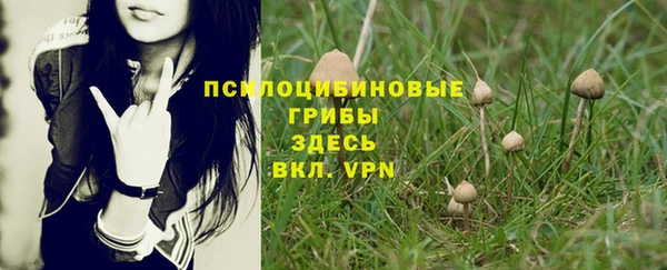 крисы Пересвет