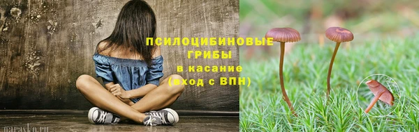 гашик Пестово