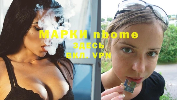 гашик Пестово