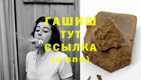 гашик Пестово