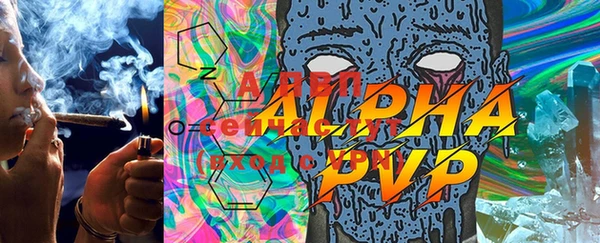 прущие грибы Болхов