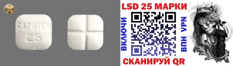 купить закладку  Владимир  Лсд 25 экстази кислота 