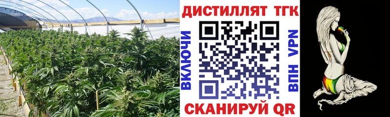блэк спрут ONION  Владимир  ТГК гашишное масло 