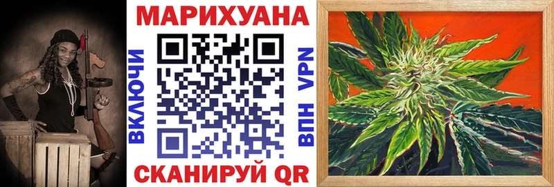 Канабис планчик Владимир